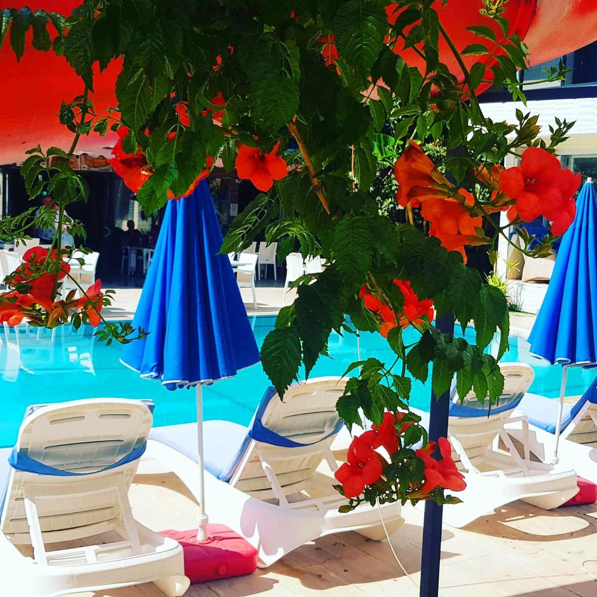 Hotel Alis